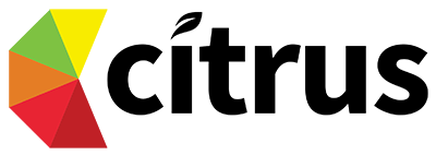 Ayakkabı kalıbı